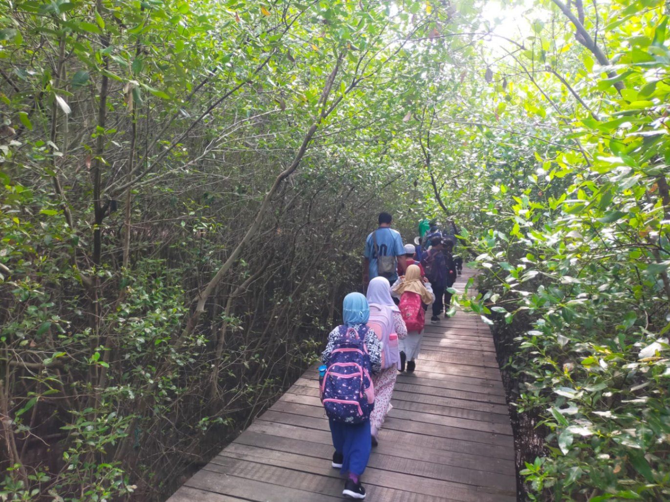 Kebun Raya Mangrove